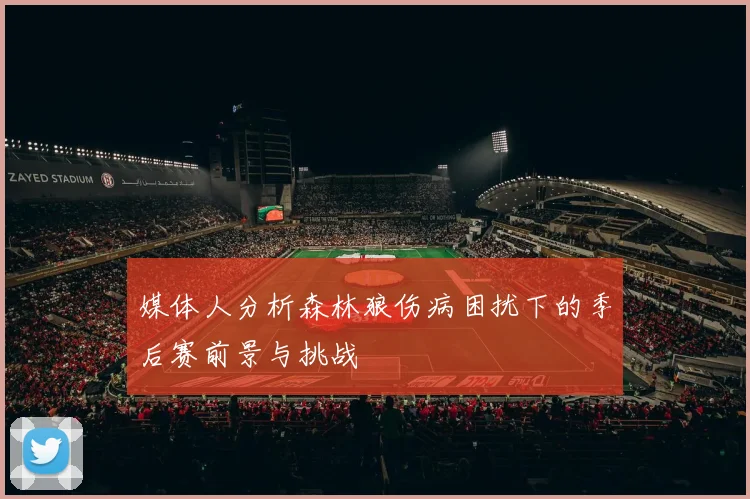 媒体人分析森林狼伤病困扰下的季后赛前景与挑战