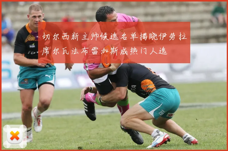 切尔西新主帅候选名单揭晓伊劳拉席尔瓦法布雷加斯成热门人选
