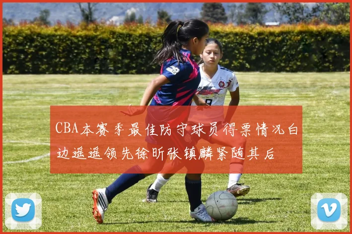 CBA本赛季最佳防守球员得票情况白边遥遥领先徐昕张镇麟紧随其后