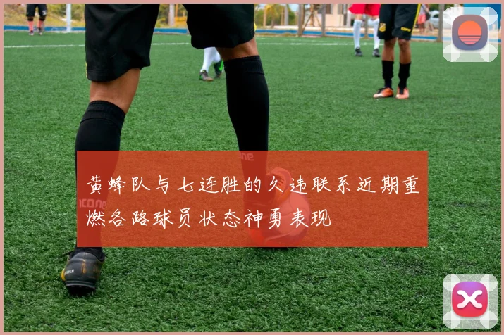 黄蜂队与七连胜的久违联系近期重燃各路球员状态神勇表现